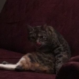 Meet your Posher, Robin